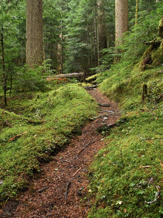 Following the Trail