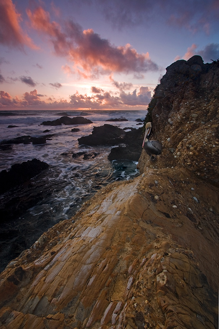 Dynamic Coast
