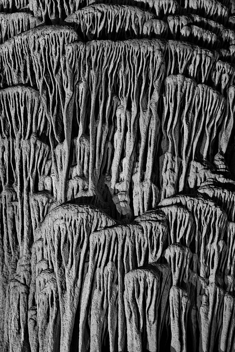 #418- Underground Forest