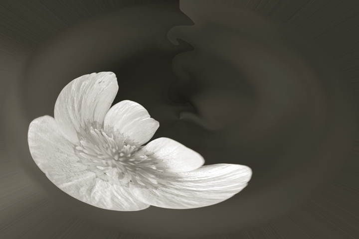 Cosmic Bloom