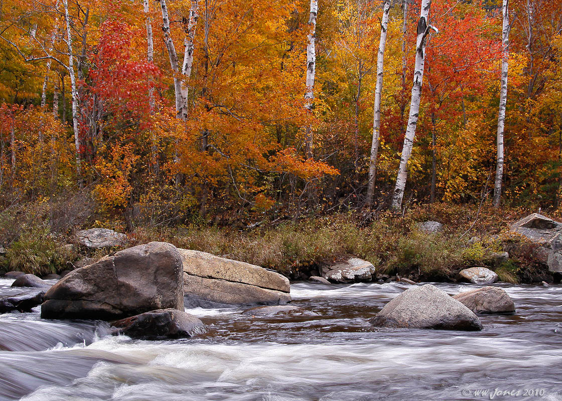 Fall on the West Branch