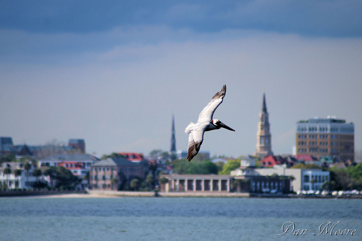 Charleston Harbor