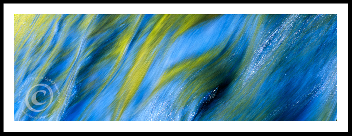 Brushes of Light  #1