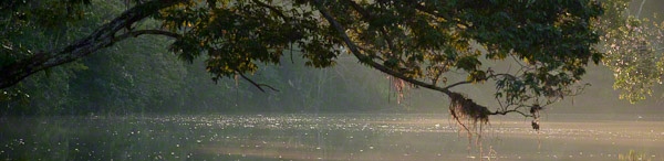 Mojo River