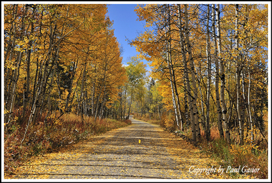 autumn