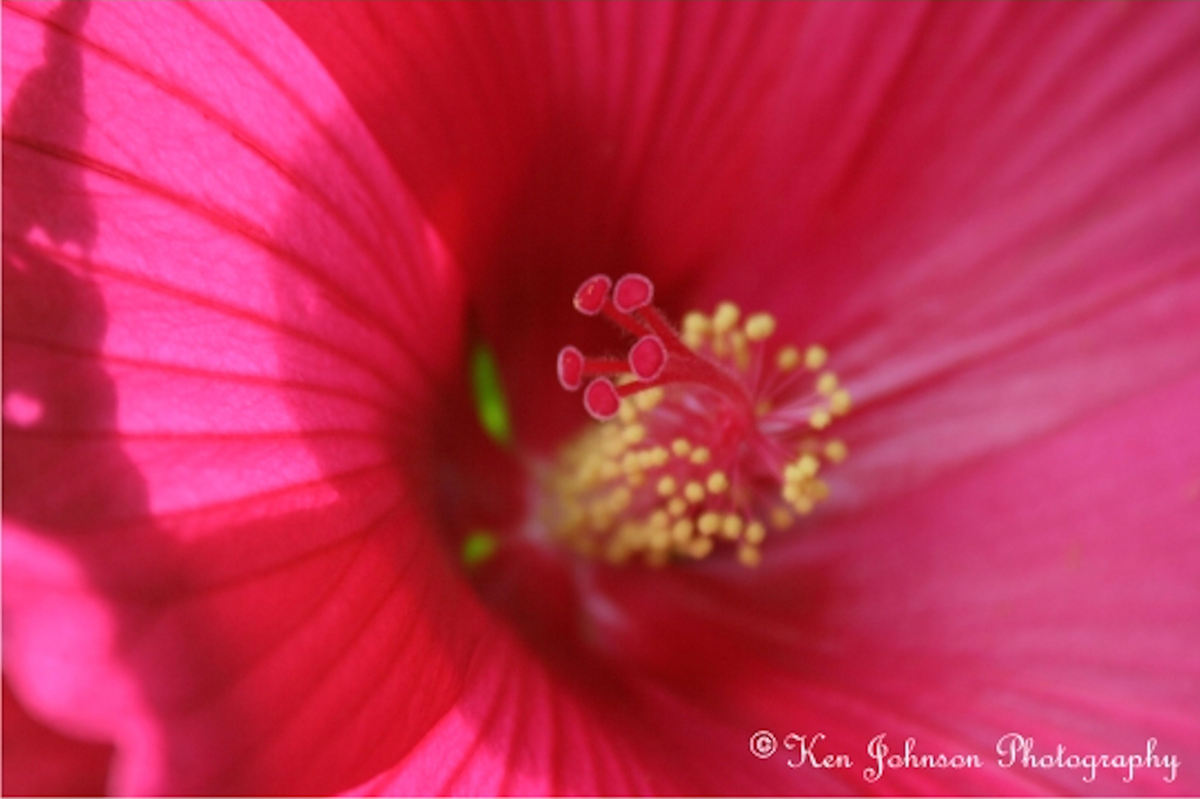 Inner Beauty
