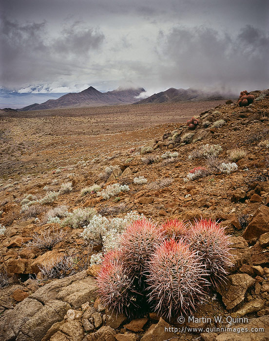 Mojave Storm