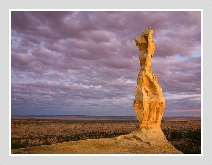 Poodle Rock