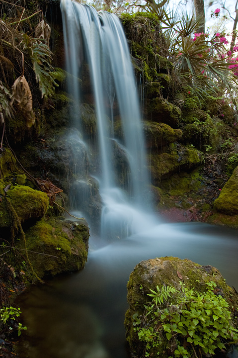 Rainbow Springs