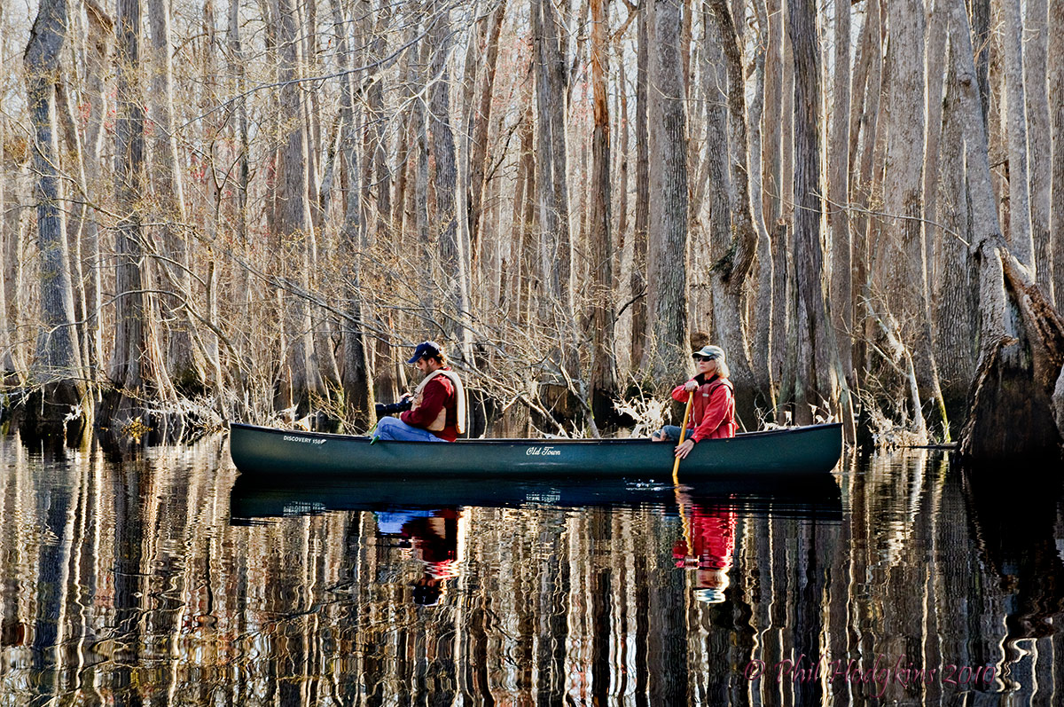 Blackwater Paddle #2