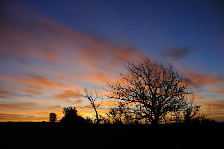 Streaky Sunrise