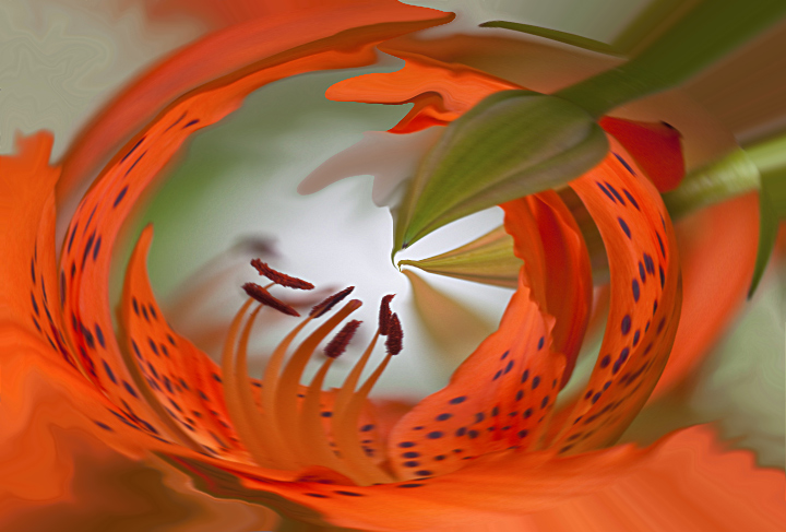 Wild thing...