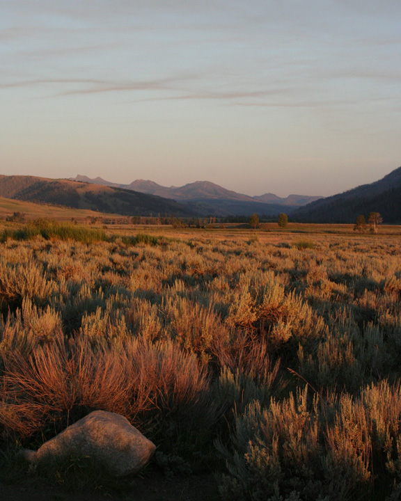 Lamar Valley
