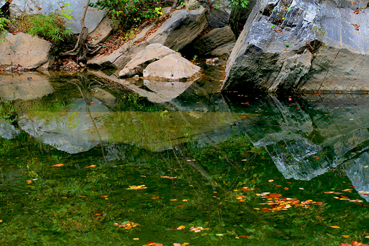 Buffalo River Reflection