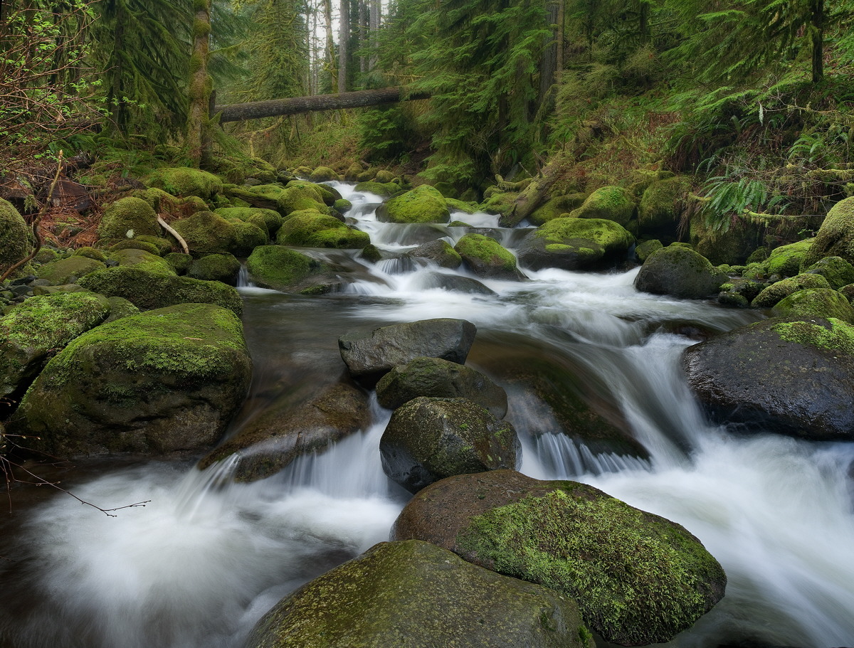 Oneonta Creek