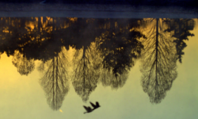Sunrise Reflections