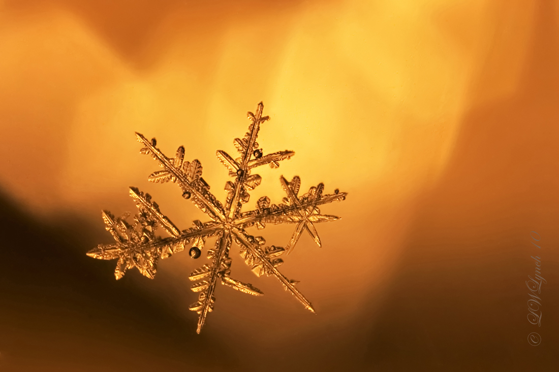 One Final Snowflake
