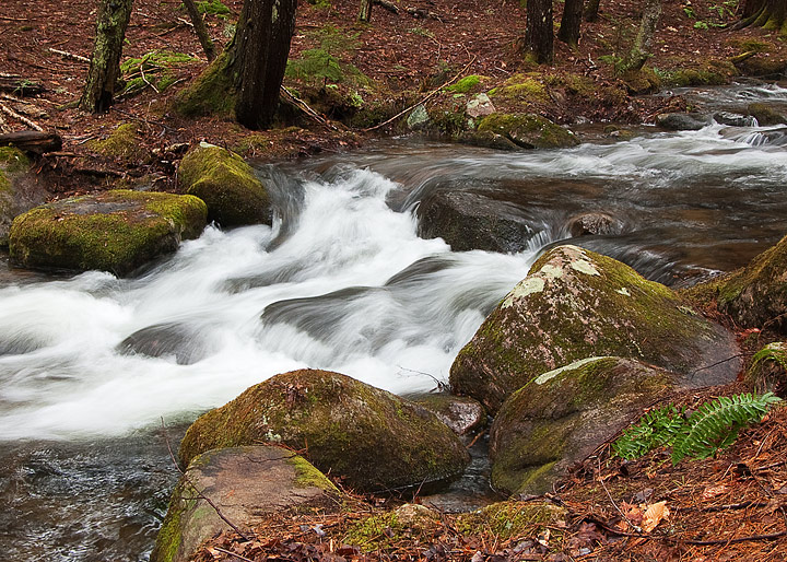 Adirondack Stream