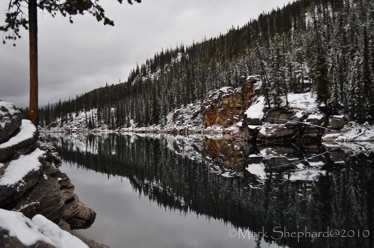 Reflections II