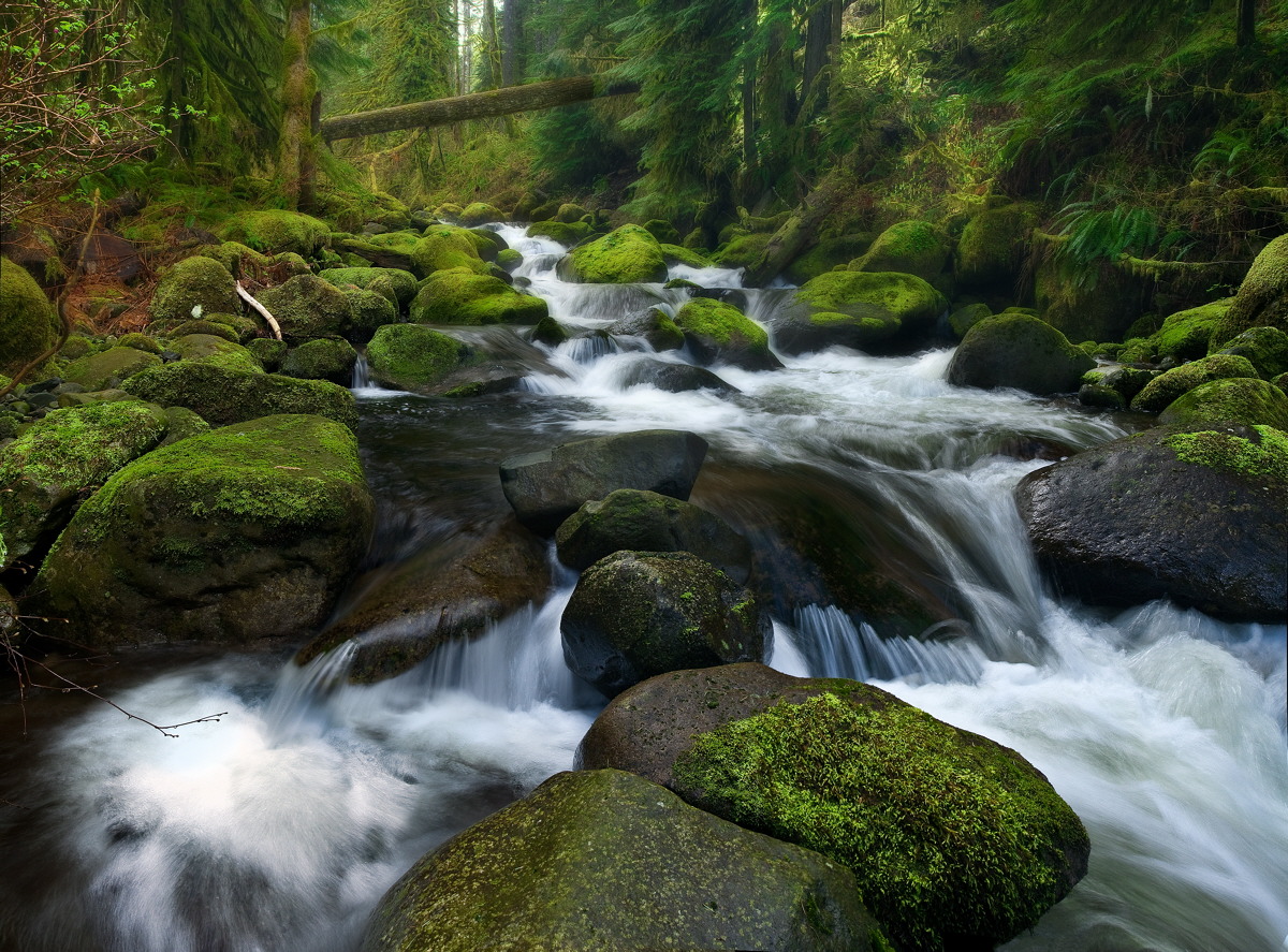 Oneonta Creek