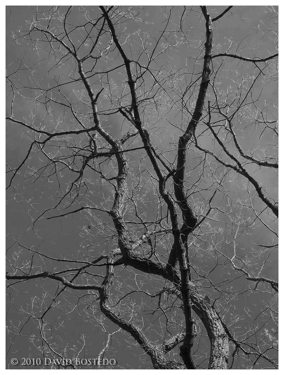 Spindly