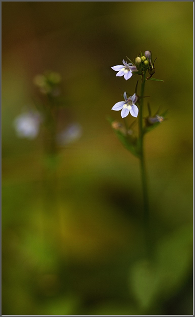 Correspondence