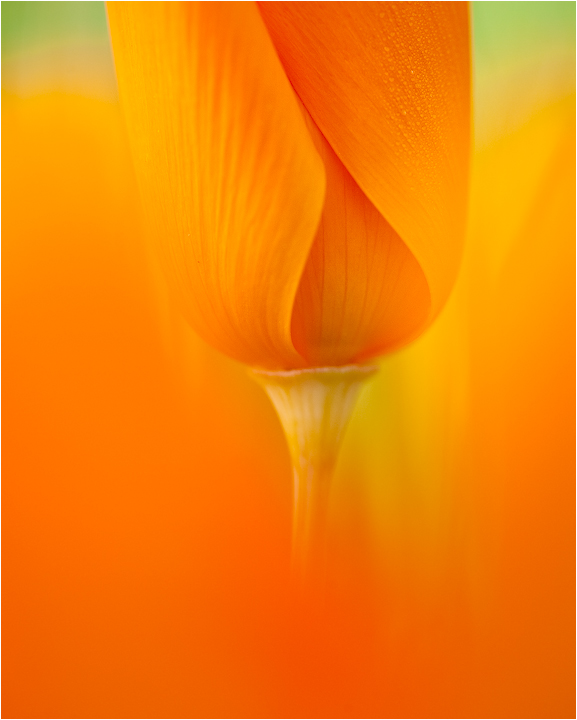 Rising