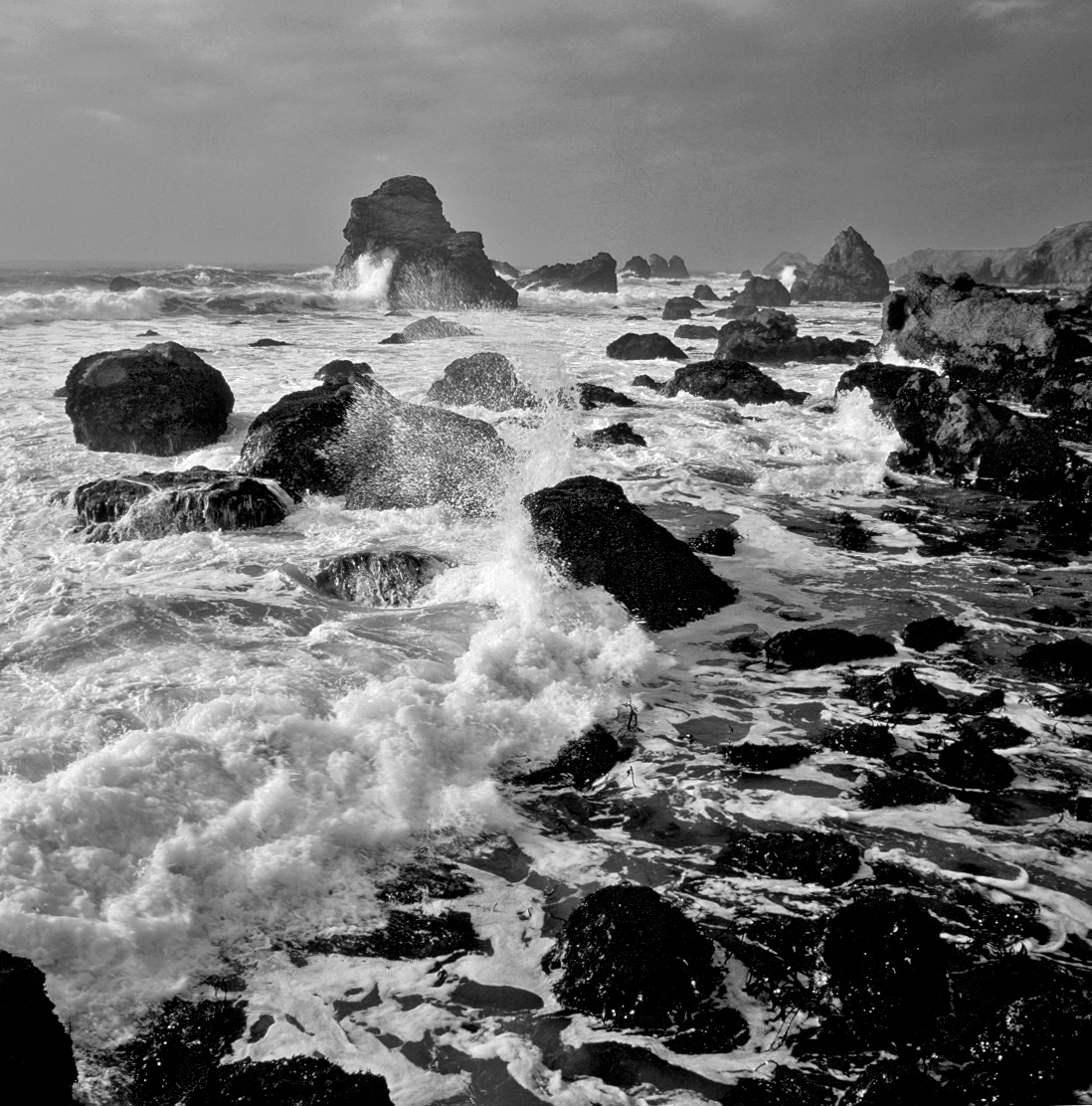 Sonoma Waters