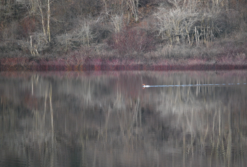 Female Float