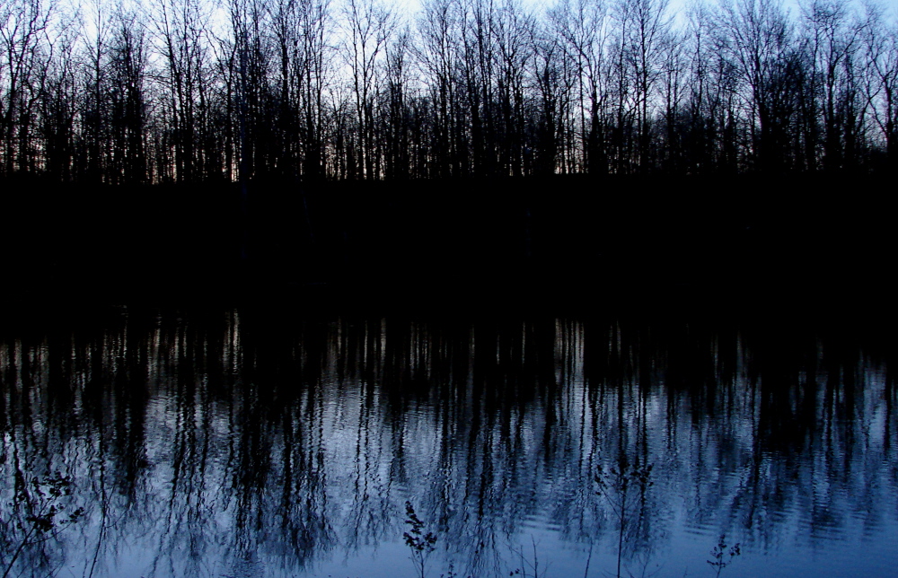 The (other) Pond 