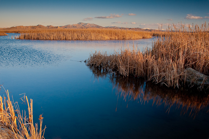 Nevada Bass Pond