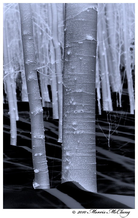 Betwixt and Between