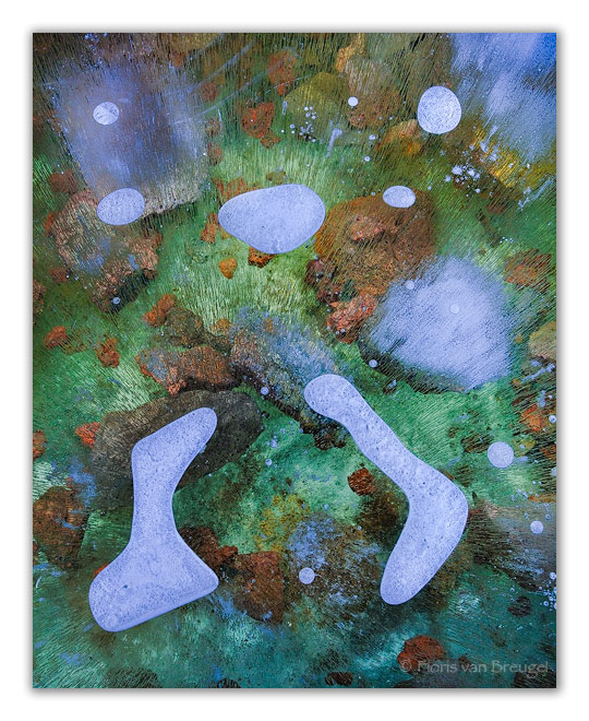 Apoptosis