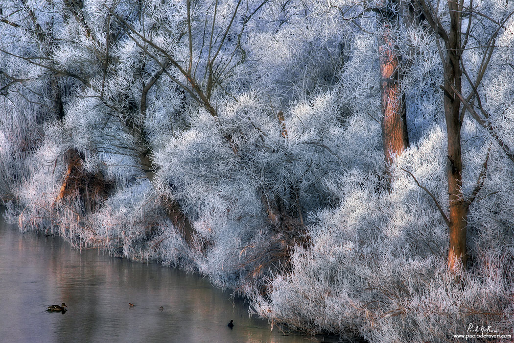 Frost at the river bank