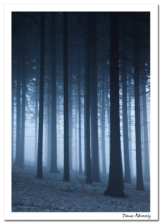 Enchanted