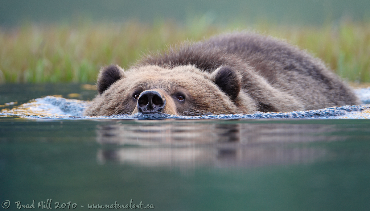 Keep That Snorkel Up!