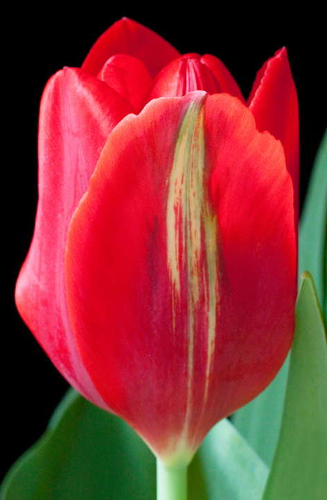Big Red...