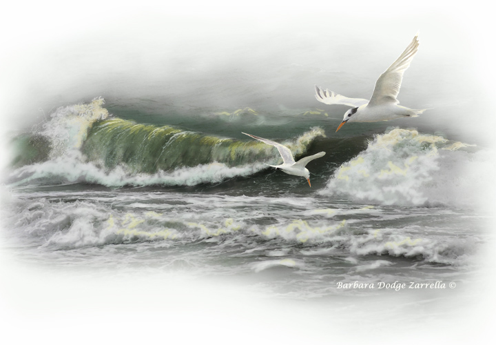 Skiming the Waves