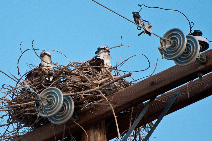 All Electric Home