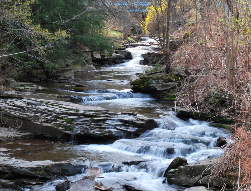 The Spring Falls