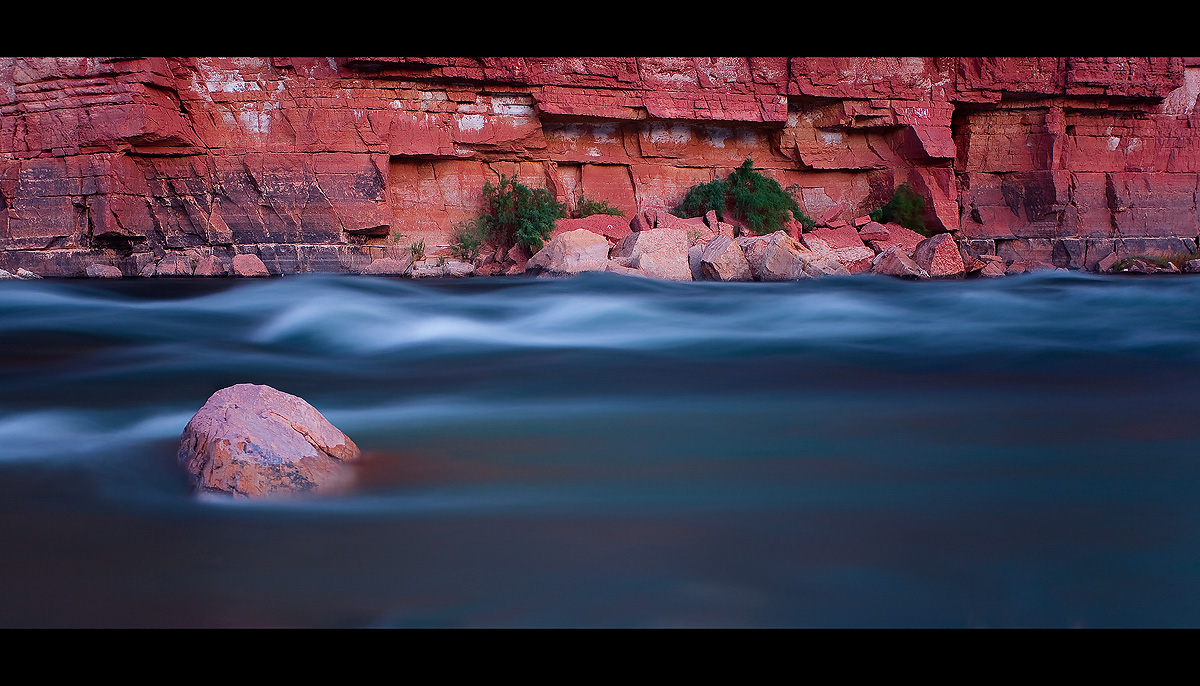 Rapid Motion