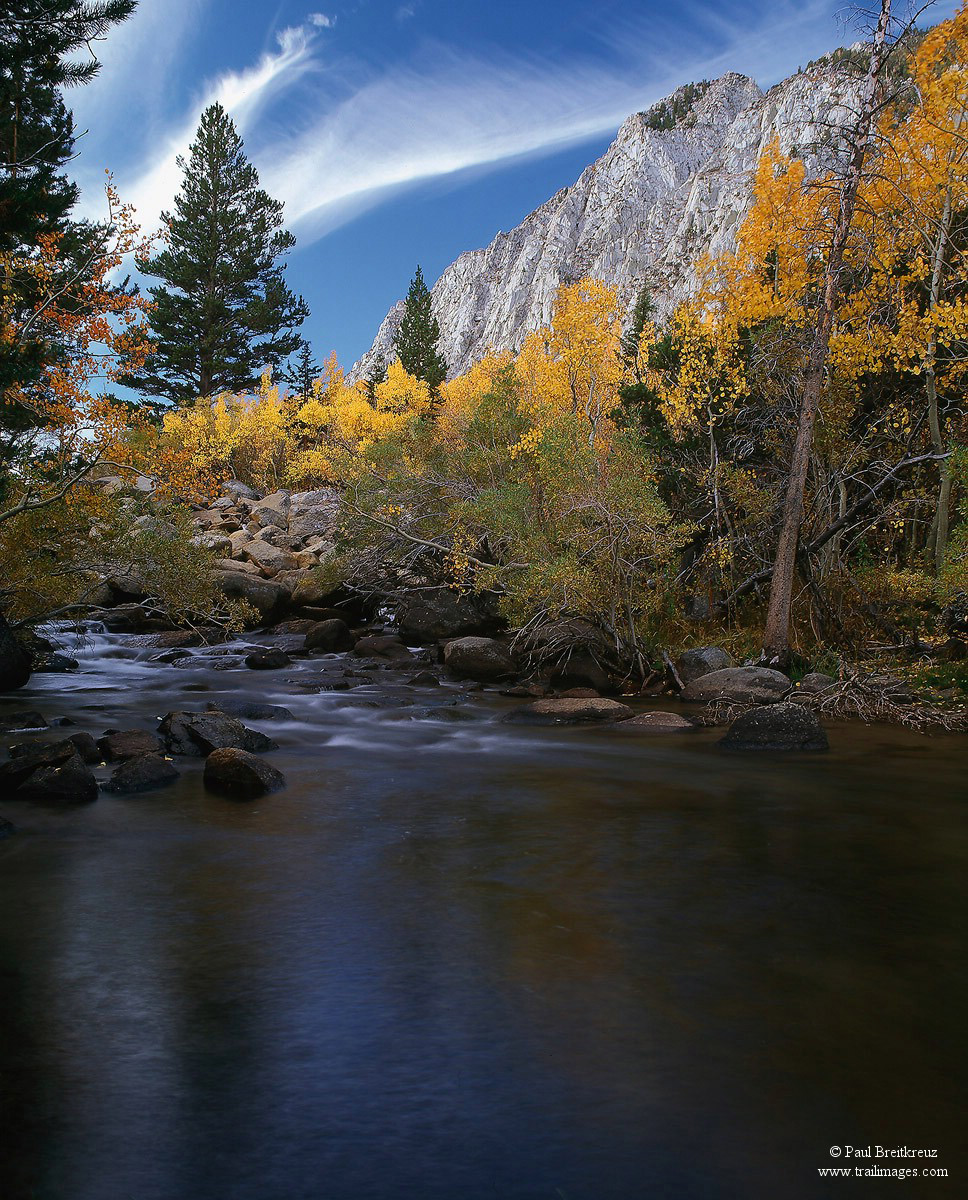 Rock Creek Canyon Gold