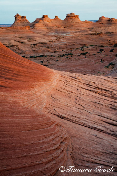 Arizona Sandstone