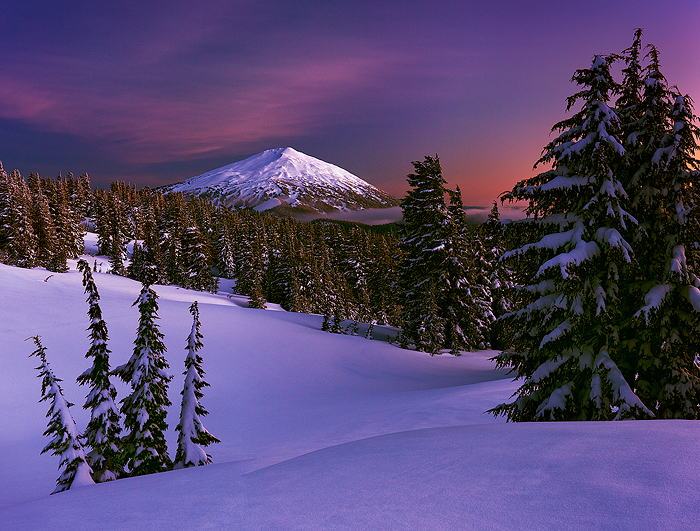 Oh Narnia!