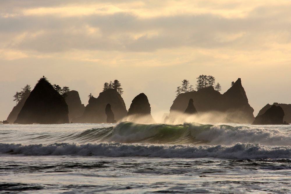 Olympic Coast winter