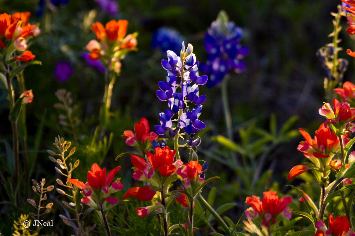 Spring Colors