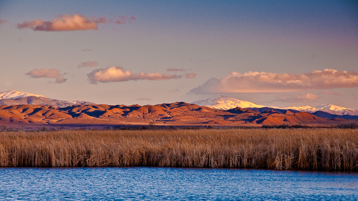 Water in the Desert