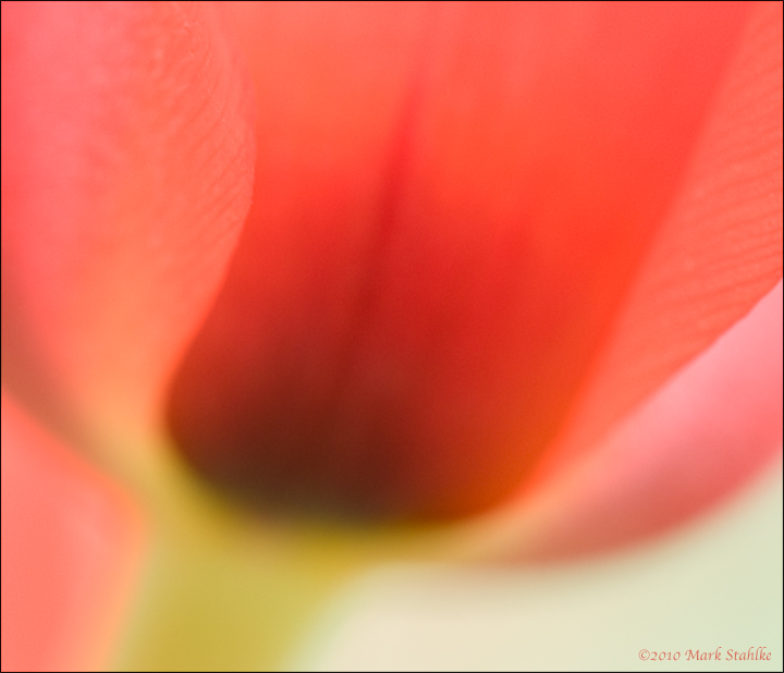 The Gentlest Season
