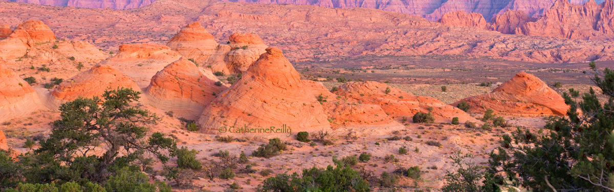 Teepees Sunrise Panorama