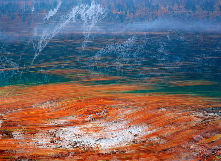 Floating Leafs